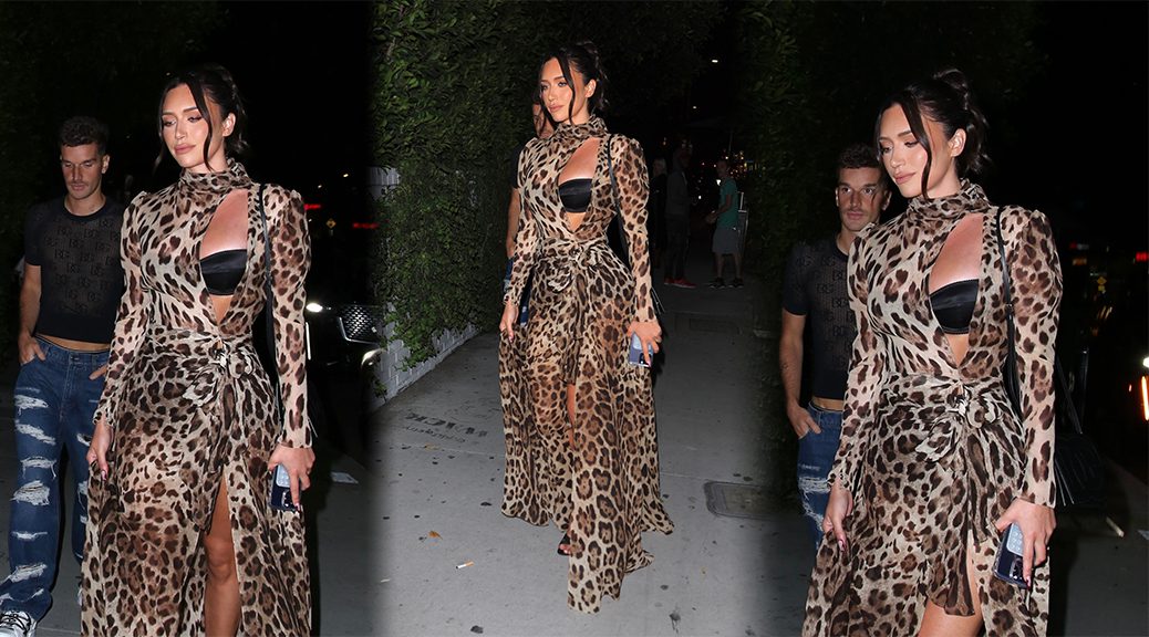 Anastasia Karanikolaou Sexy Leopard Print Dress - Hot Celebs Home